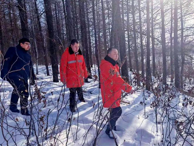 【基层时讯】那都里林场推进林长制建立健全森林资源保护管理长效机制